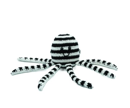 octopus BW website
